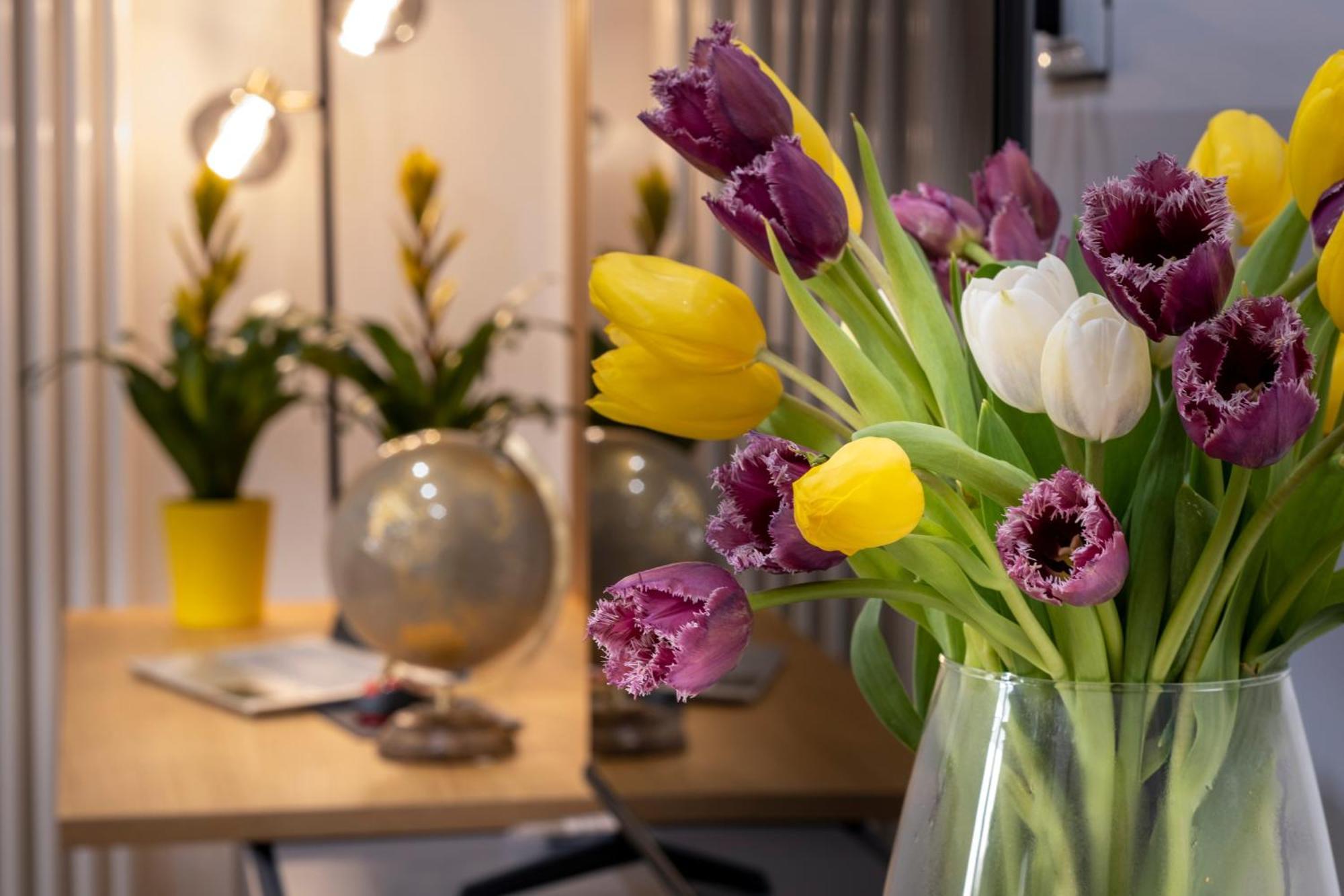 Apartment Ducrot Palermo